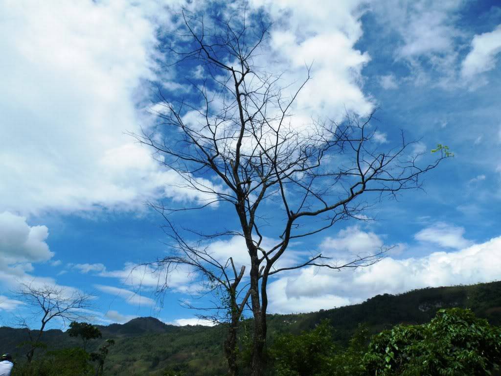 DSCF8680.jpg