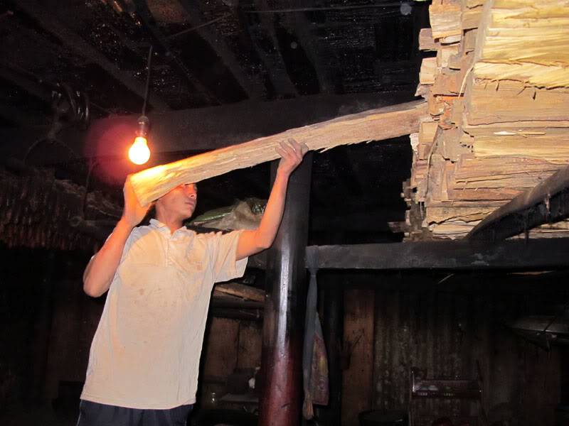 HongNgai2011299.jpg