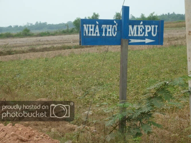 P1100013.jpg