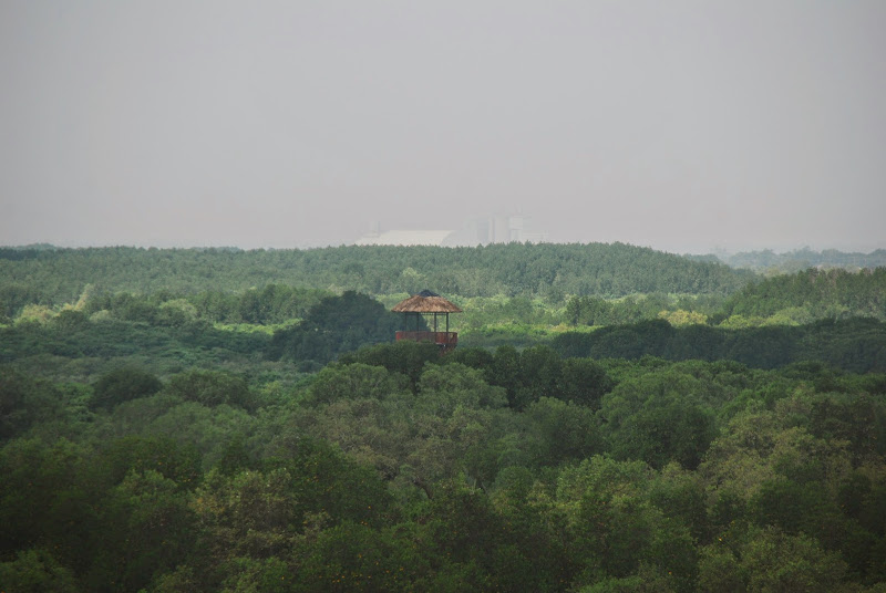 DSC_8753.JPG