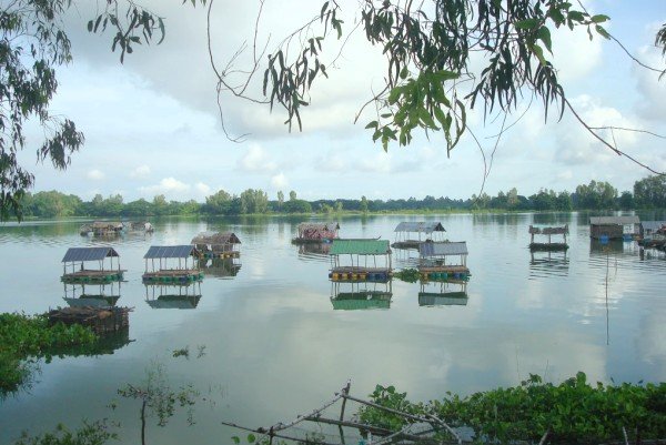 3924c_1.bungbinhthien.jpg