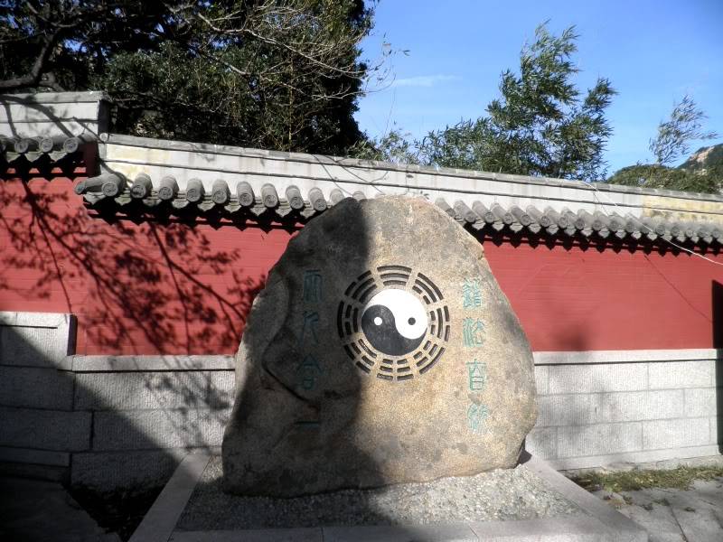 PA260196.jpg