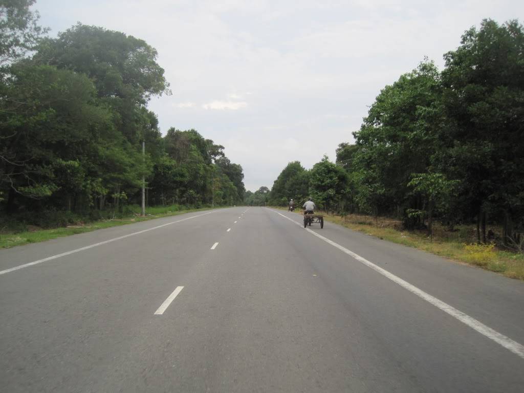 QL55QL28659.jpg