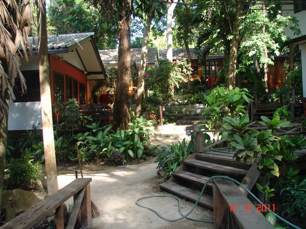 thai195.jpg