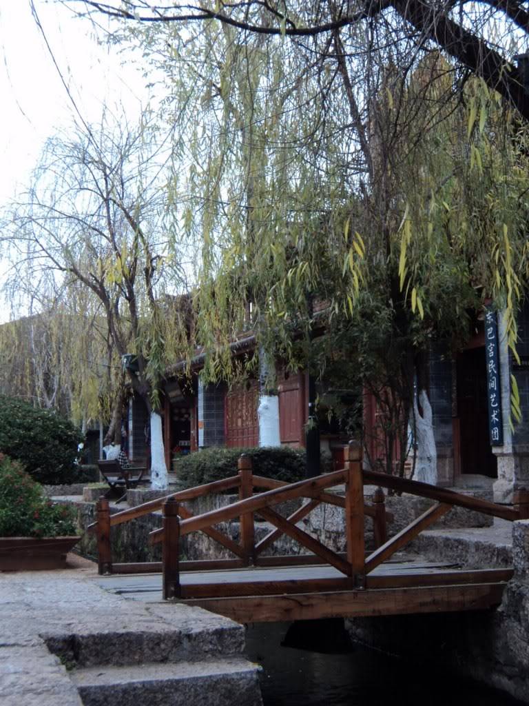 DSC01648.jpg