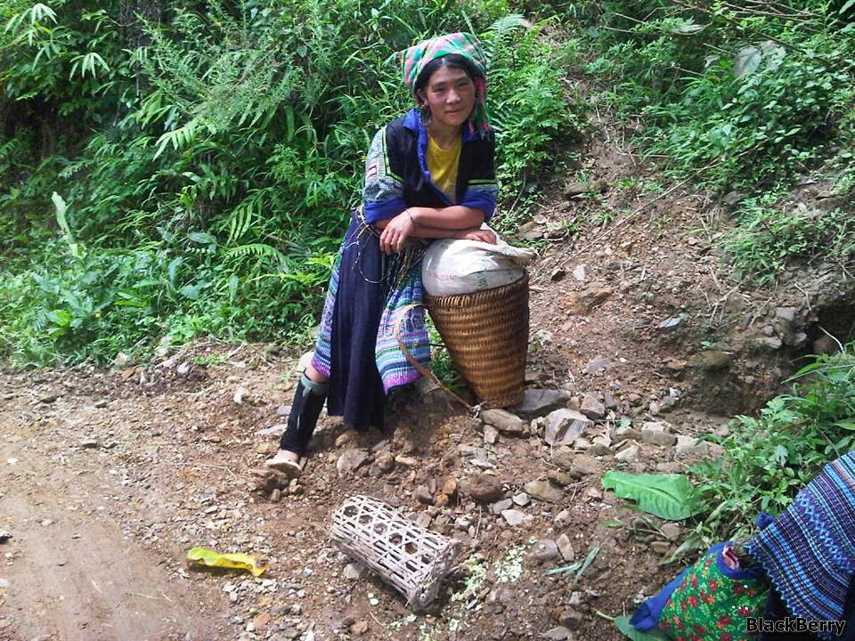 IMG-20120923-00169.jpg