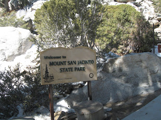 IMG_7349.JPG