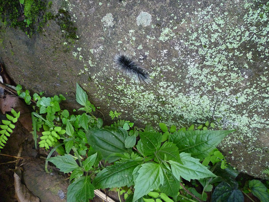 P1070269_zps2abac90d.jpg