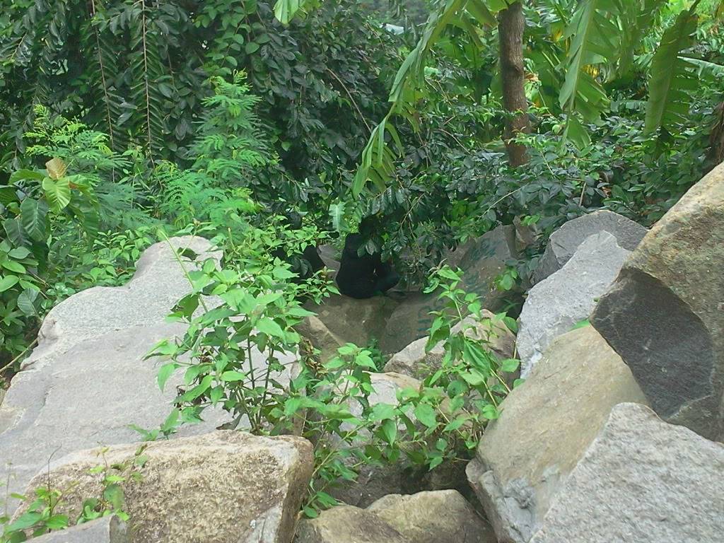 Photo0765.jpg
