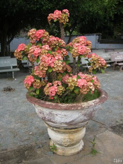 IMG_0687.jpg
