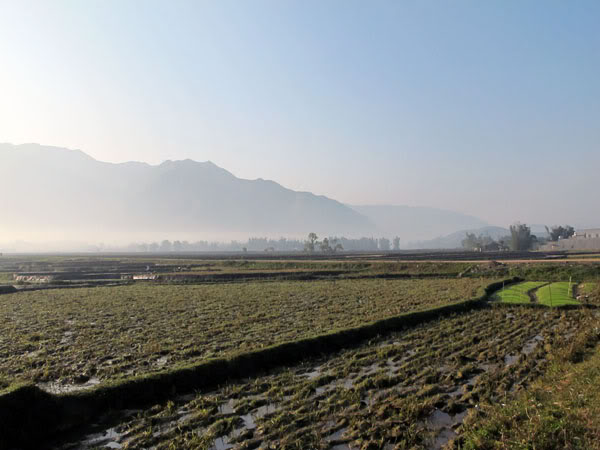 HongNgai2011073.jpg