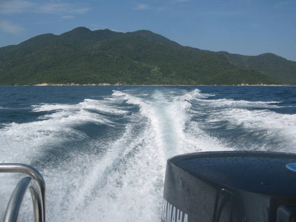 IMG_0771.jpg