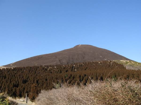 IMG_1136_resize.jpg