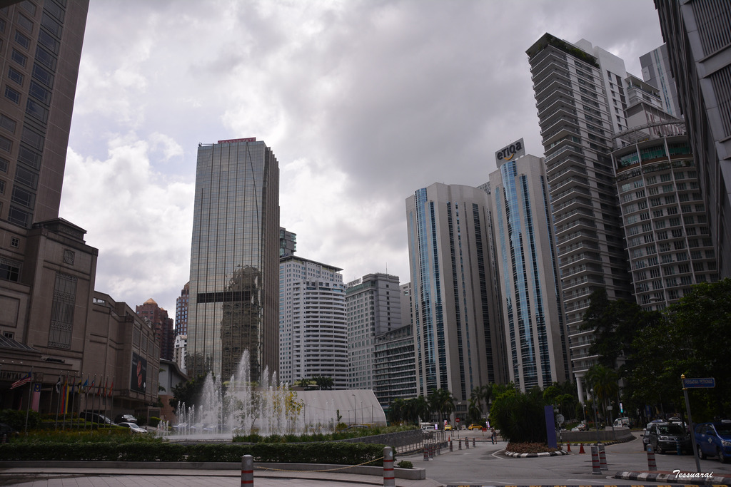 DSC_0222.jpg
