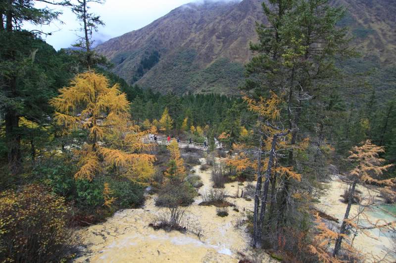 hoanglong210.jpg