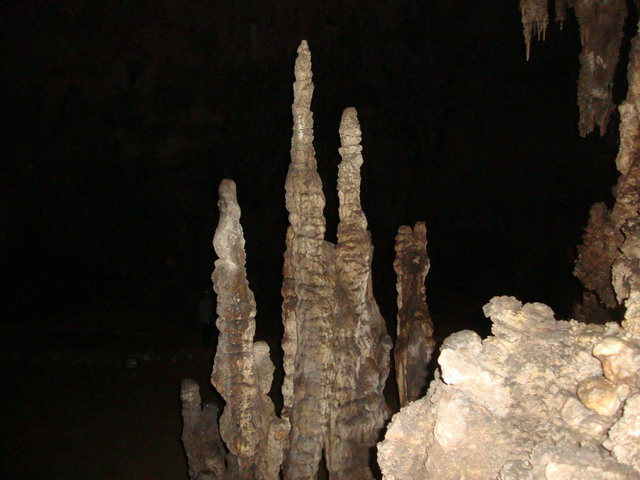 2010-09-24-cd-mb-1411-hua-ma.jpg