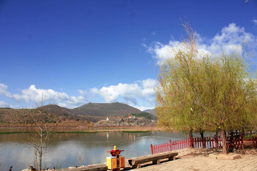 IMG_9277_zpsoofqgfmo.jpg