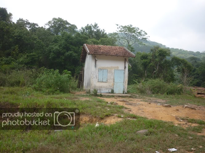 P1260553.jpg