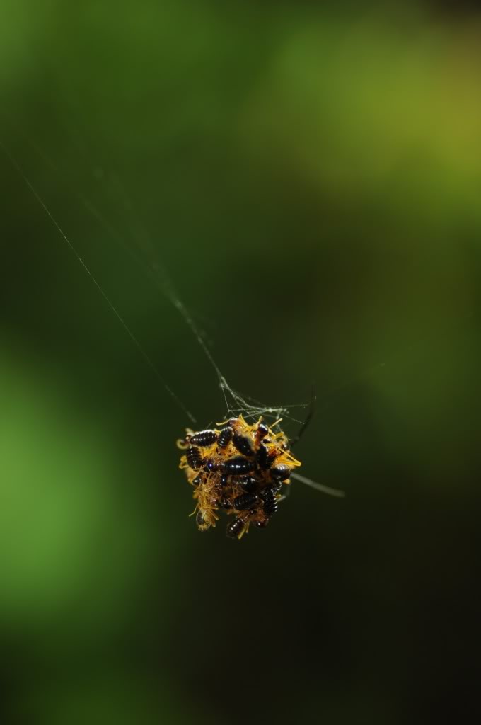 DSC_4409.jpg
