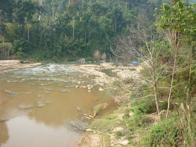 P1050428.jpg