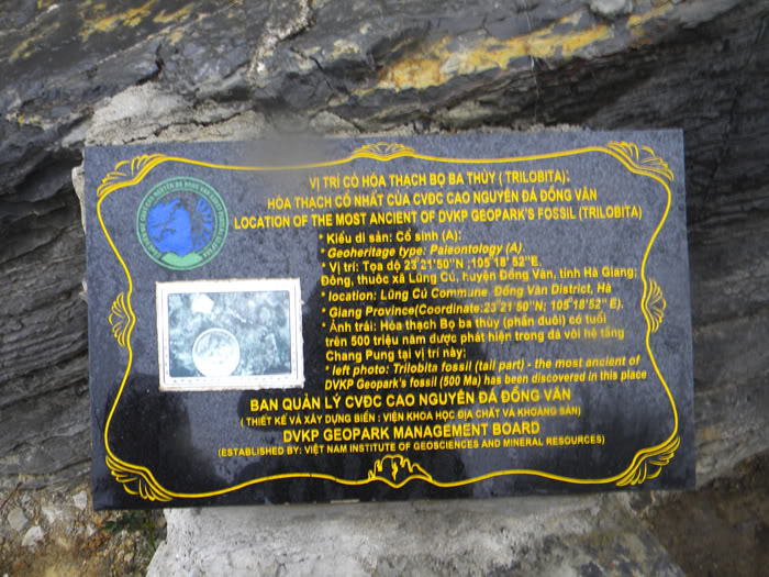 DSCN7101.jpg