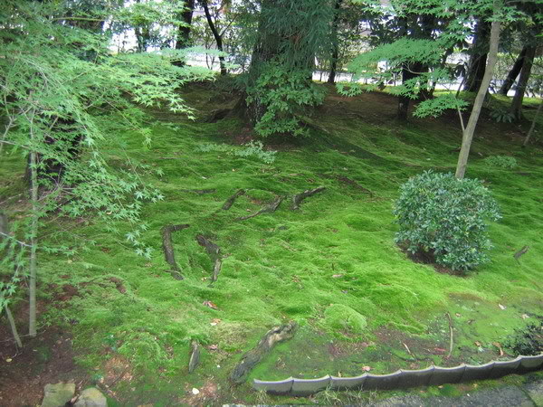 IMG_1225_resize.jpg