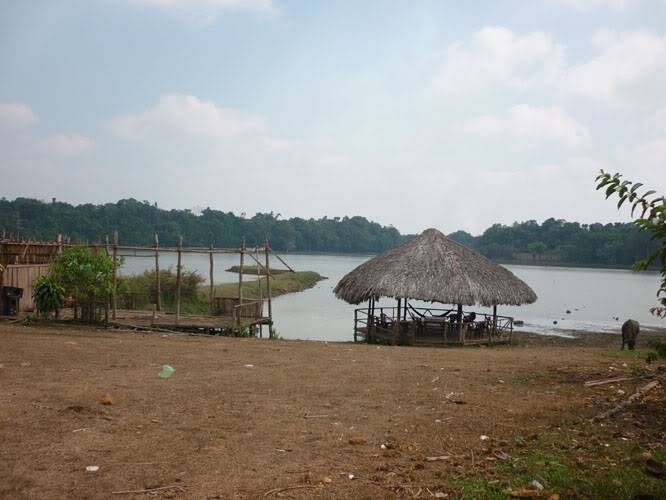 P1000786-1.jpg