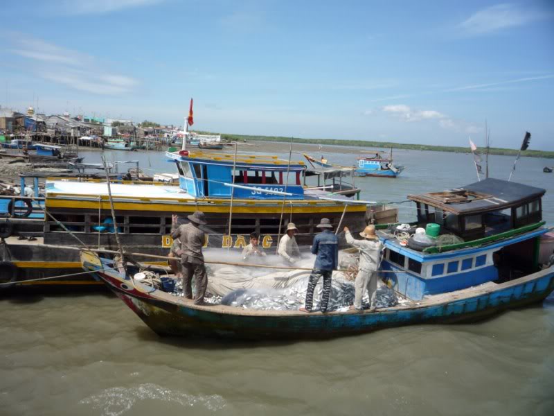 P1030112800x600.jpg
