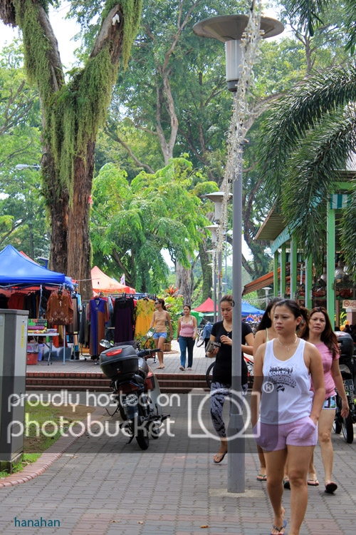IMG_7675_zps1b367ba7.jpg