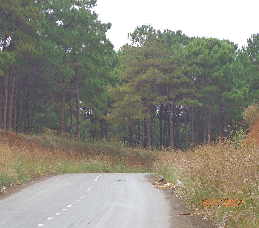 DSC00735R.jpg