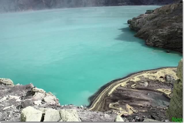 YY009-1.jpg