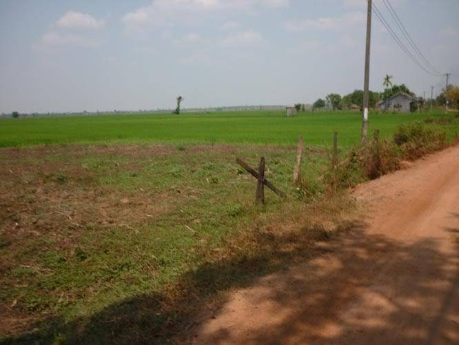 P1020916.jpg
