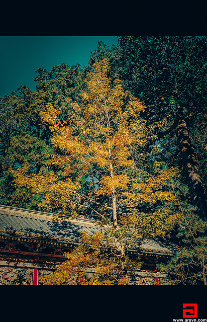 20562877560_c680ebb382_z.jpg