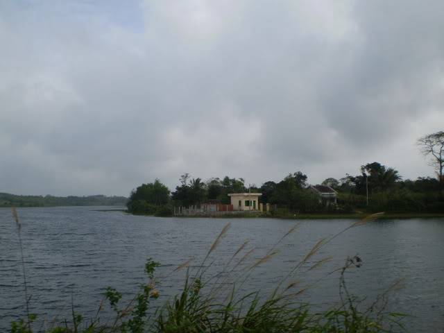P1010127.jpg