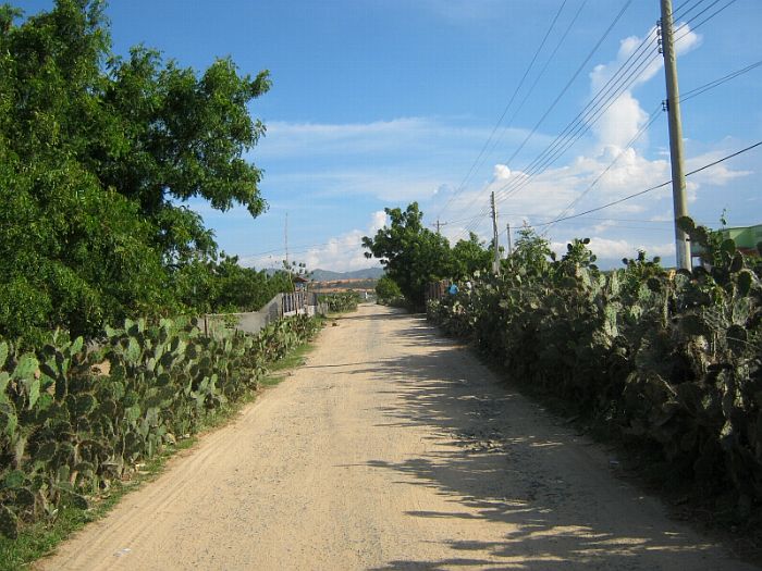 IMG_5178.jpg