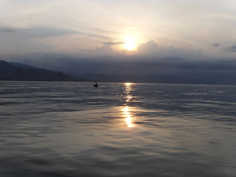 SDC13810.jpg