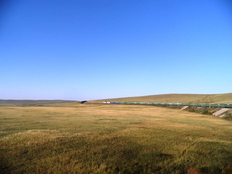P9100022.jpg