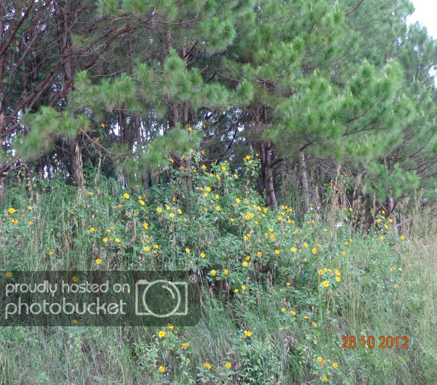 DSC00668R.jpg