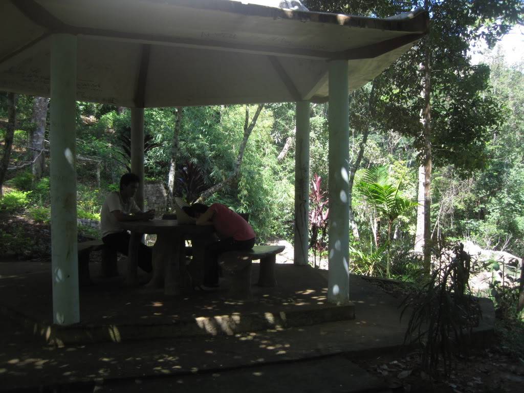 QL55QL28366.jpg