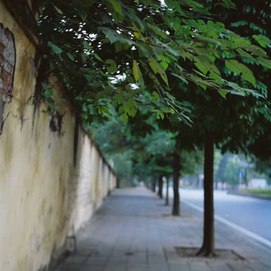 100920-05.jpg