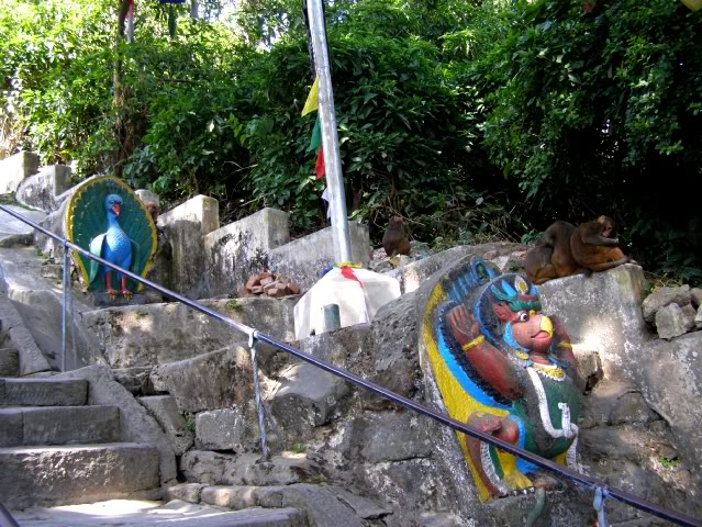 PA280696.jpg