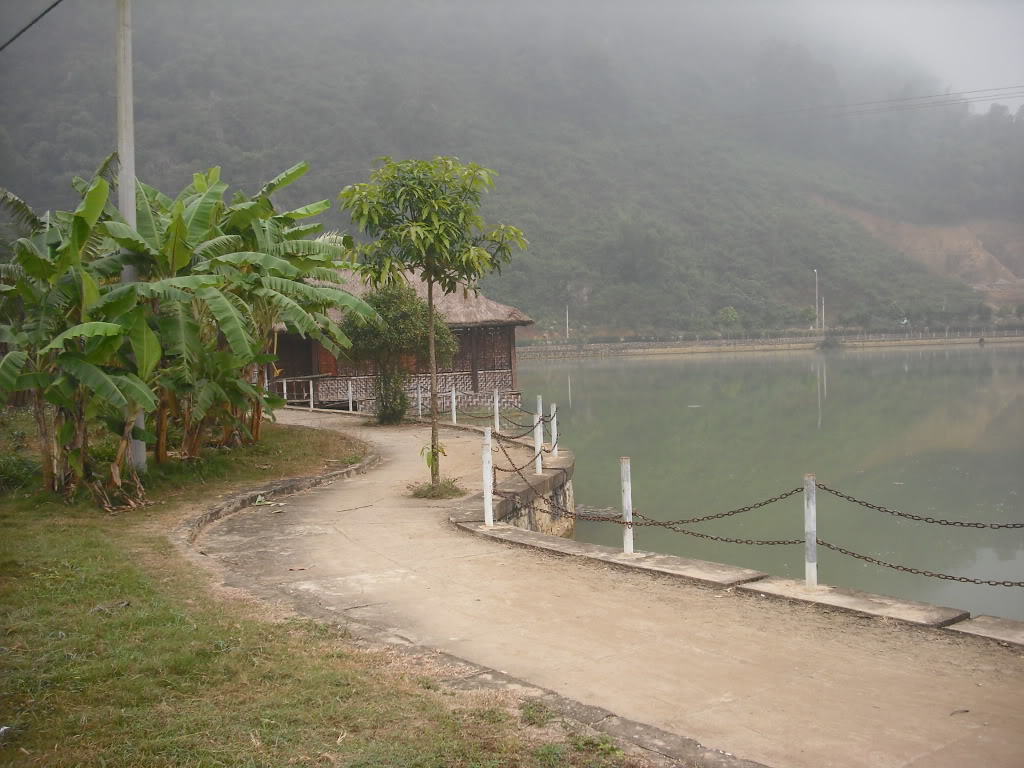 DSCF6682.jpg
