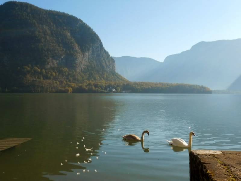 DSCN5146.jpg