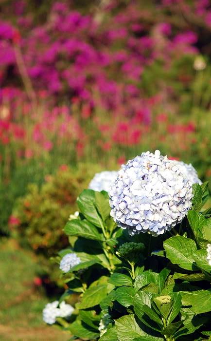 DSC_5397_resize.jpg