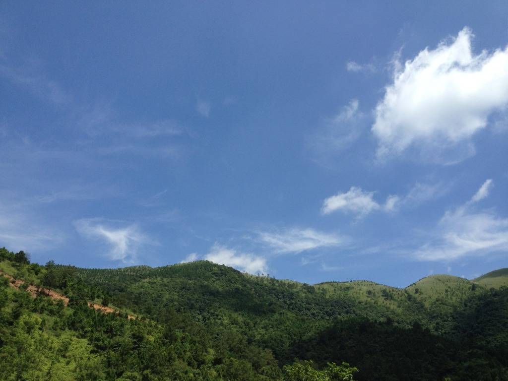 IMG_1271.jpg
