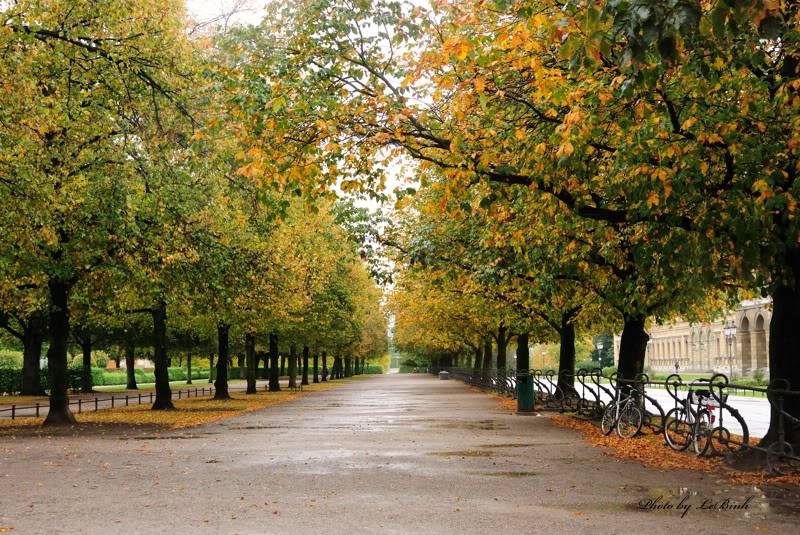 Munich_023.jpg
