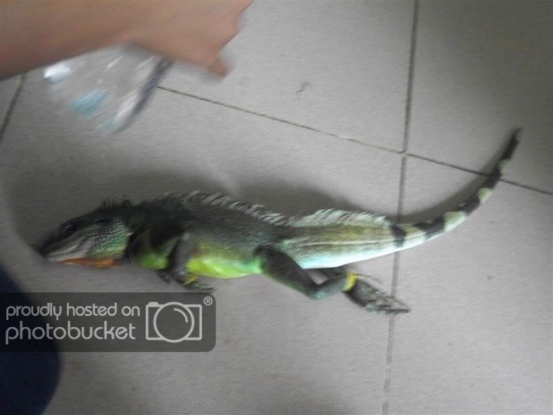 100_0509.jpg