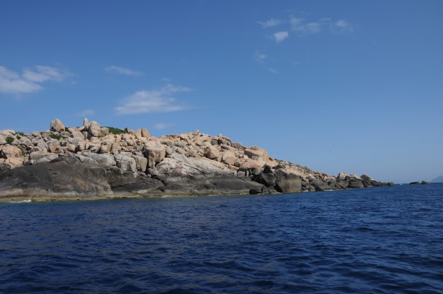 DSC_4484.jpg