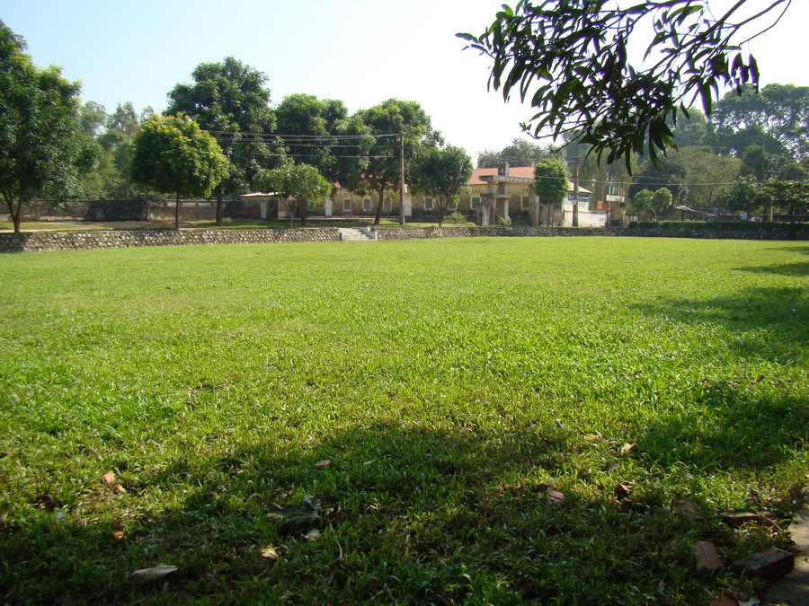 DSC06717.jpg
