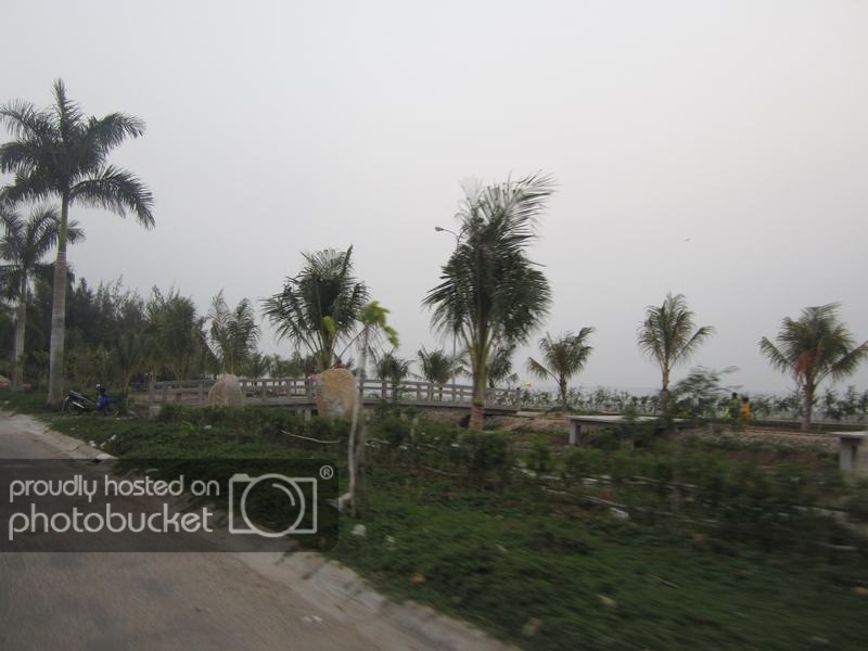 IMG_0693_zps8f446e71.jpg